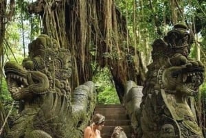 Bali: tour por Ubud con Tirta Empul, arrozal y cascada