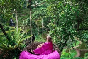 Bali: tour por Ubud con Tirta Empul, arrozal y cascada