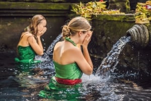 Bali: Traditionel balinesisk renselse i Ubud