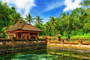 Bali: Traditionel balinesisk renselse i Ubud