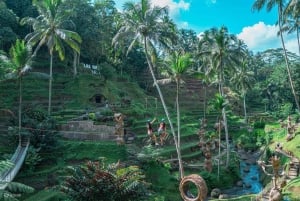 Bali: UTV-buggyeventyr og zipline-tur i Ubud