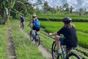 Bali: Sykkeltur i Ubud med lunsj og bading