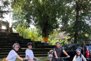 Bali: Sykkeltur i Ubud med lunsj og bading