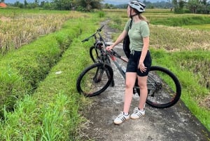 Bali: Sykkeltur i Ubud med lunsj og bading