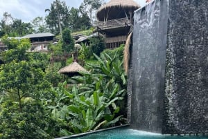 Bali: Sykkeltur i Ubud med lunsj og bading