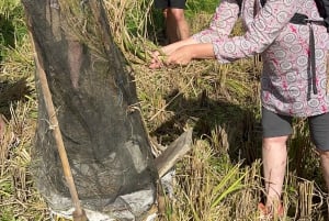 Bali: Sykkeltur i Ubud med lunsj og bading
