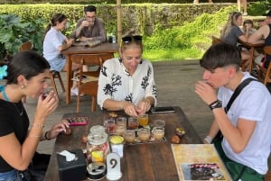 Bali: Sykkeltur i Ubud med lunsj og bading