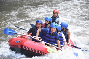 Bali: Ubud Water Rafting with Lunch & Transport Optional