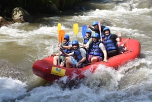 Bali: Ubud Water Rafting with Lunch & Transport Optional