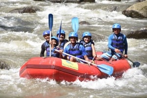 Bali: Ubud Water Rafting with Lunch & Transport Optional