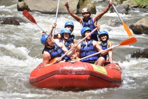 Bali: Ubud Water Rafting with Lunch & Transport Optional