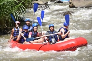 Bali: Ubud Water Rafting with Lunch & Transport Optional