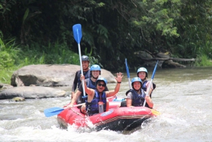 Bali: Ubud Water Rafting with Lunch & Transport Optional