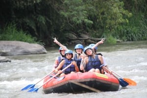Bali: Ubud Water Rafting with Lunch & Transport Optional