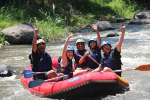 Bali: Ubud Water Rafting with Lunch & Transport Optional