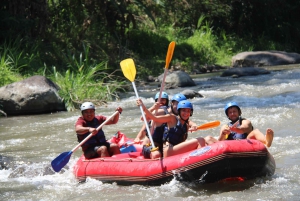 Bali: Ubud Water Rafting with Lunch & Transport Optional