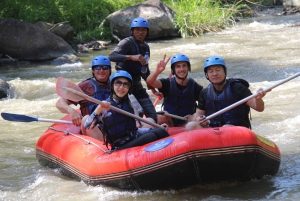 Bali: Ubud Water Rafting with Lunch & Transport Optional