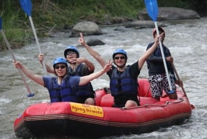 Bali: Ubud Water Rafting with Lunch & Transport Optional