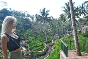 Bali: Ubud Waterfall, Village and Pool Club Day Trip