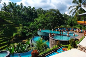 Bali: Ubud Waterfall, Village and Pool Club Day Trip