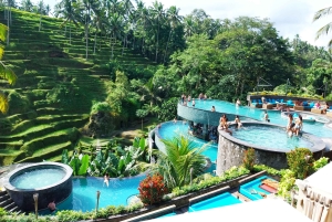 Bali: Ubud Waterfall, Village and Pool Club Day Trip