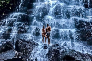 Bali: Ubud Waterfalls or UNESCO Temple Private Full Day Tour