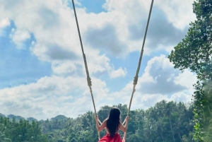 Bali: Ubud Waterfalls or UNESCO Temple Private Full Day Tour