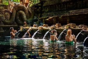 Bali: Ubud Waterfalls or UNESCO Temple Private Full Day Tour