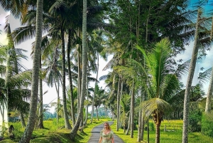 Bali: Ubud Waterfalls or UNESCO Temple Private Full Day Tour
