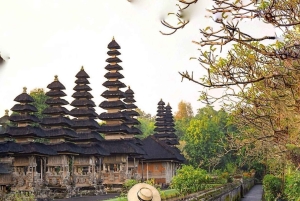 Bali: Ubud Waterfalls or UNESCO Temple Private Full Day Tour