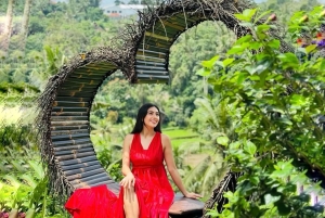 Bali: Ubud Waterfalls or UNESCO Temple Private Full Day Tour