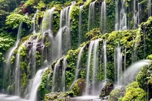 Bali: Ubud Waterfalls Swimming Natural Pool Highlights