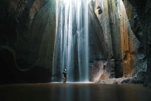 Bali: Ubud Waterfalls Swimming Natural Pool Highlights