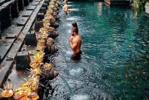 Bali: Tur til Ubuds vandfald, tempel og risterrasser