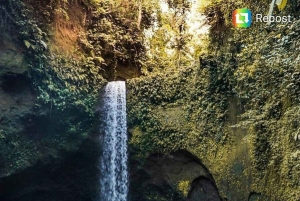 Bali: Tur til Ubuds vandfald, tempel og risterrasser