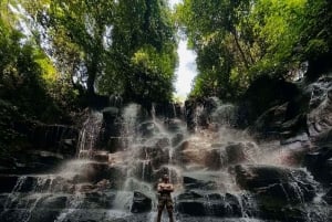 Bali: Tur til Ubuds vandfald, tempel og risterrasser
