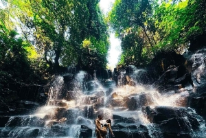 Bali: Tur til Ubuds vandfald, tempel og risterrasser