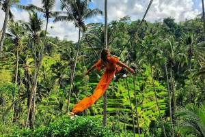 Ubud: Waterfalls, Temple, and Rice Terraces Private Day Trip