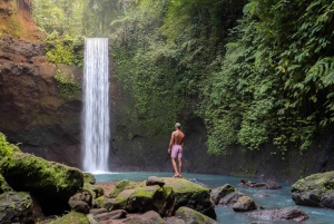 Ubud: Waterfalls, Water Temple, & Rice Terrace Private Tour