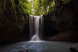 Ubud: Waterfalls, Water Temple, & Rice Terrace Private Tour