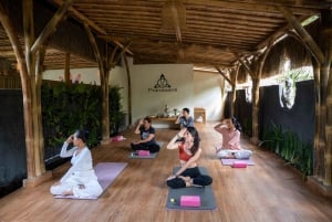 Bali: Ubud Yoga och helande meditation