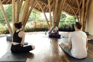 Bali: Ubud Yoga and Healing Meditation