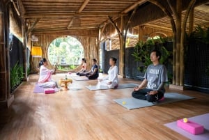 Bali: Ubud Yoga and Healing Meditation
