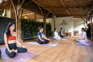 Bali: Ubud Yoga and Healing Meditation