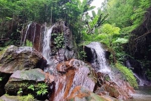 Bali: tirolina en Ubud, cascada de Gua Raja y tour por una plantación de café