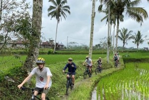 Bali: Ultimate Adventure Bundle for Active Nature Explorers