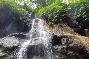 Bali: Ultimate Waterfall Adventure Journey