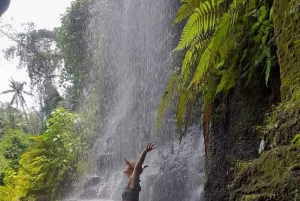 Bali: Ultimate Waterfall Adventure Journey