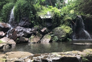 Bali: Ultimate Waterfall Adventure Journey