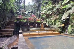 Bali: Ulu Petanu-vattenfallet, risterrass och Calo Village